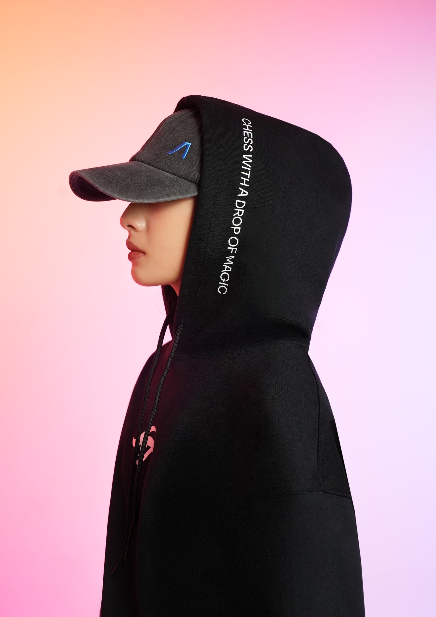 Anichess - Flexfit Cap